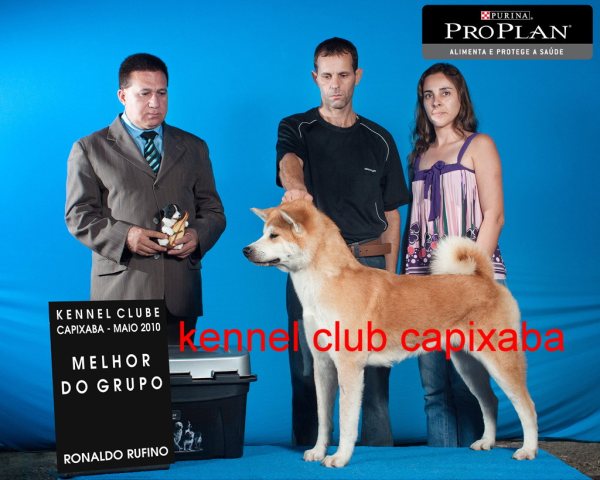 Clique sobre a foto para fechar